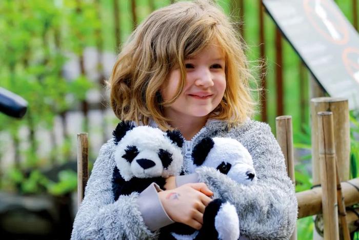 2021年8月8日，比利时布吕热莱特天堂动物园，小朋友手捧玩偶为大熊猫“宝弟”“宝妹”庆祝两周岁生日。图/视觉中国