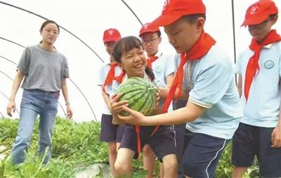 洞桥中心小学的学生在开展西瓜采摘体验活动。