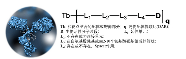 TMALIN™ 型抗体偶联药平台技术