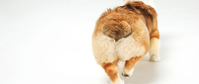 图片来源于摄图网