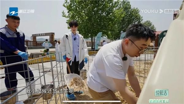 杨迪铺草的专业动作得到认可。（图/《青春环游记4》）