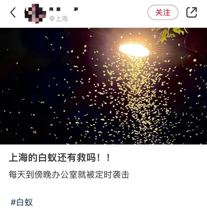 图片来源：社交平台截图