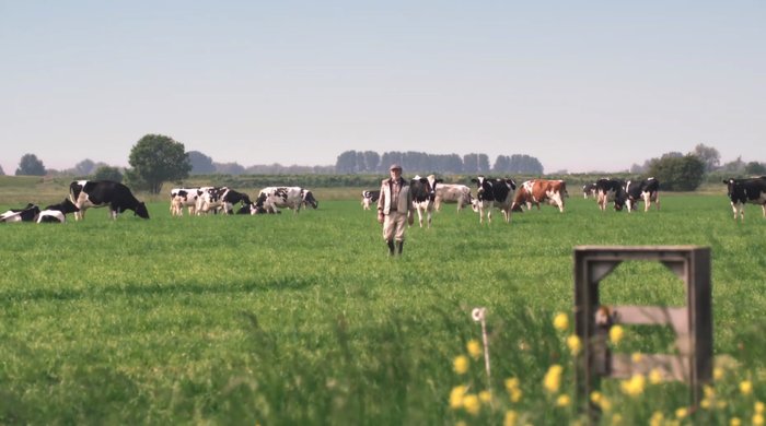 海普诺凯1897荷致白金版 臻选A2蛋白奶源