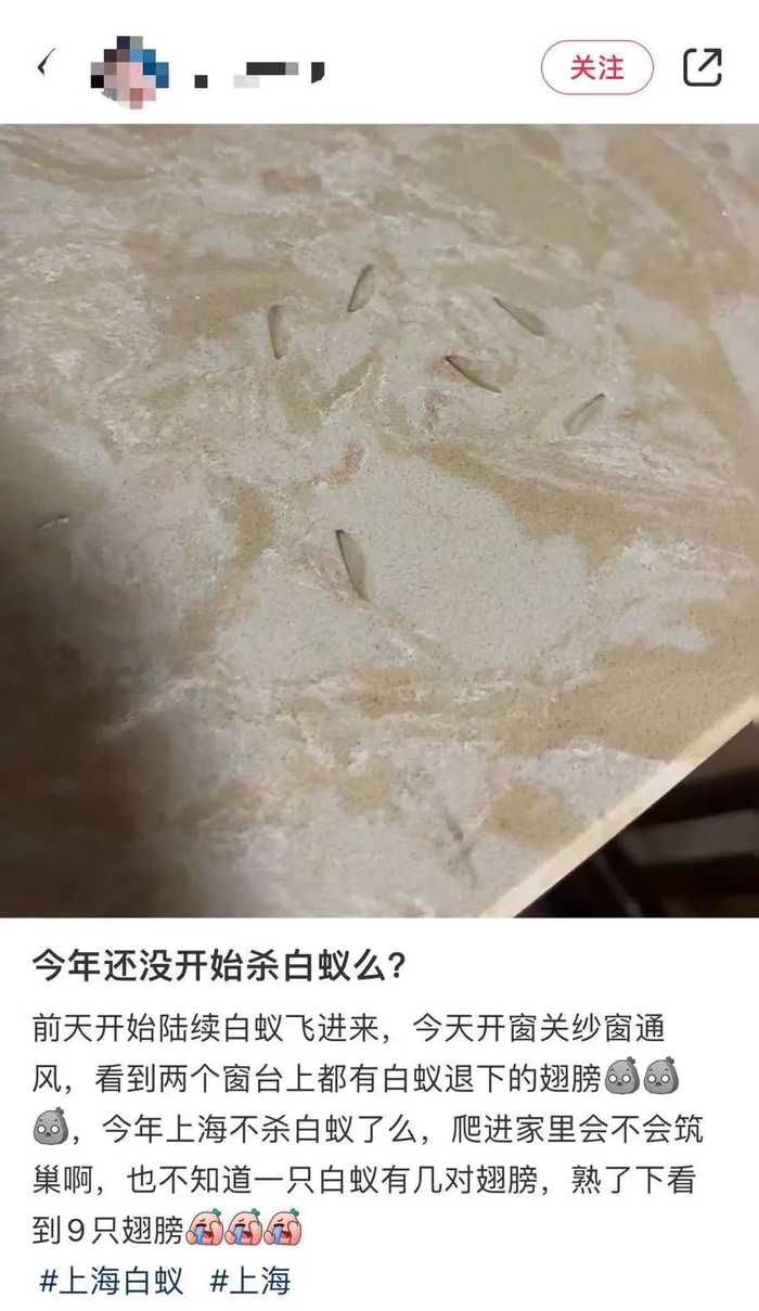 图片来源：社交平台截图