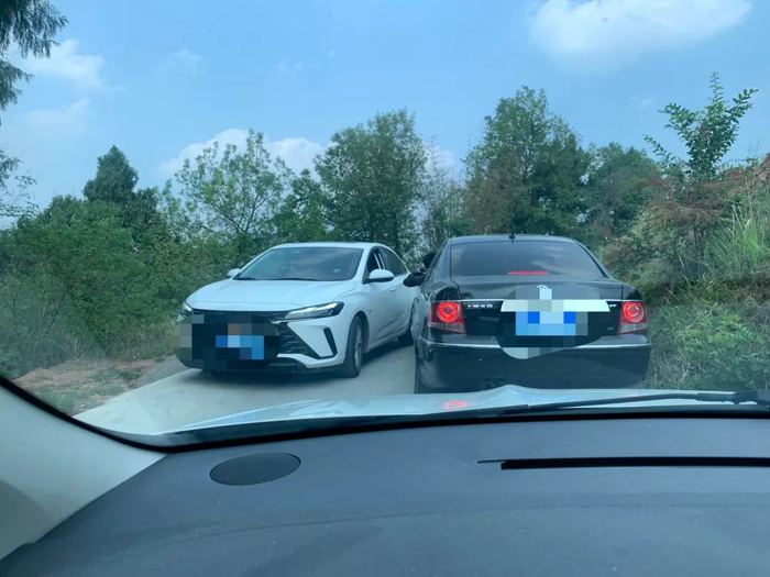 ▲图据金堂零距离v