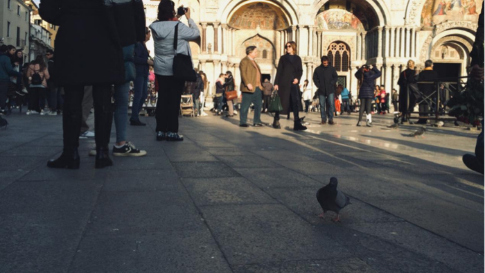 再逛伦敦的博罗市场时拍到了某种意式香饼，各种美食应接不暇，栗子差点走不动道！