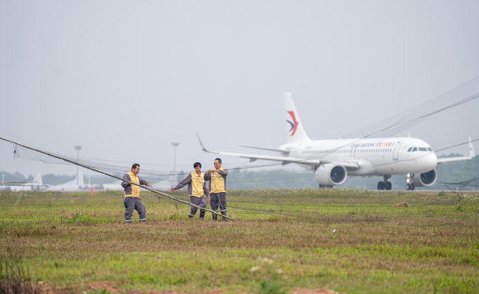 ↑海南琼海博鳌机场停机坪上的驱鸟工作人员在机场旁重新布置捕鸟网。图据视觉中国