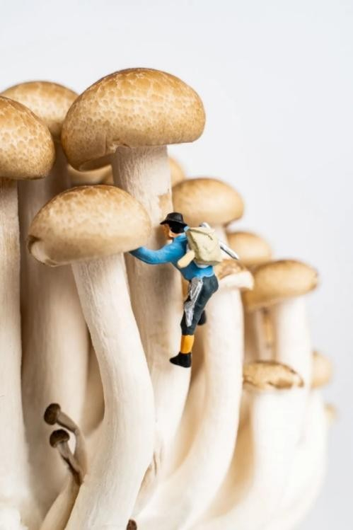 如果你喜欢吃辣，那么就去征服辣峰吧！