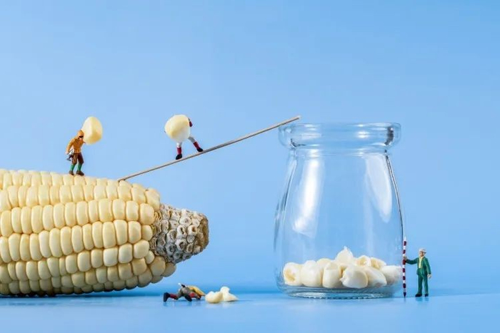 还有攀爬在蘑菇上的小人，平日里小小的蔬菜对于他们来说是一座威严的高山；