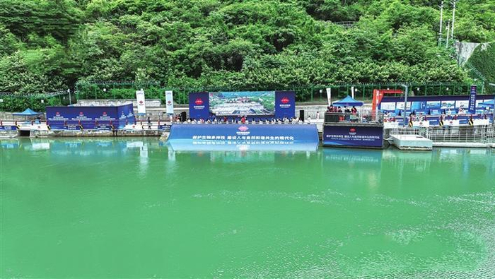     6月5日，“2023年世界环境日水电行业鱼类增殖放流联合行动”启动。图为活动现场。（国家能源集团供图）