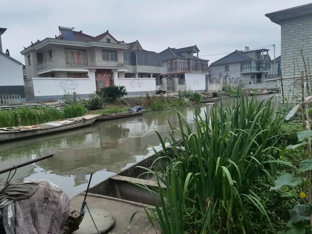 水上的东旺村，家家户户小洋楼前的河道中都停着小船。新京报记者 周怀宗 摄