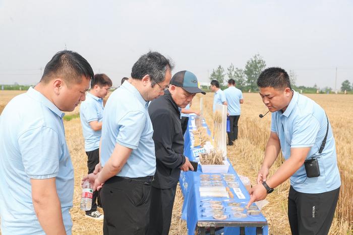 安徽颍上县技术示范会上，技术人员向农户介绍小麦赤霉病病害及科学防治措施