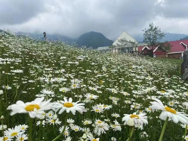 图：西岭雪山