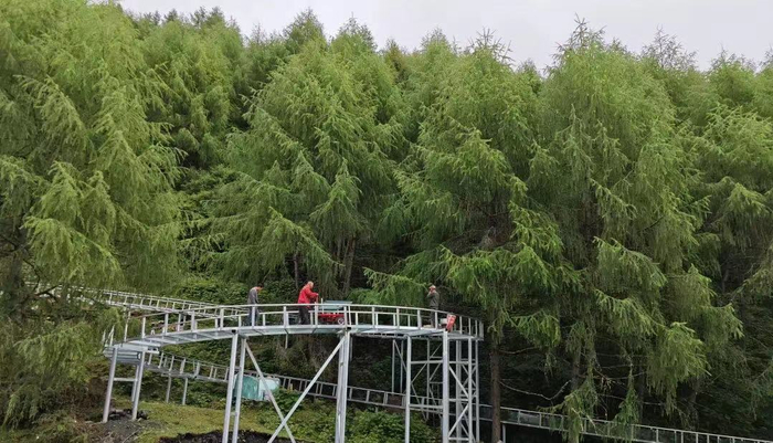 图：“达瓦更扎景区”公众号