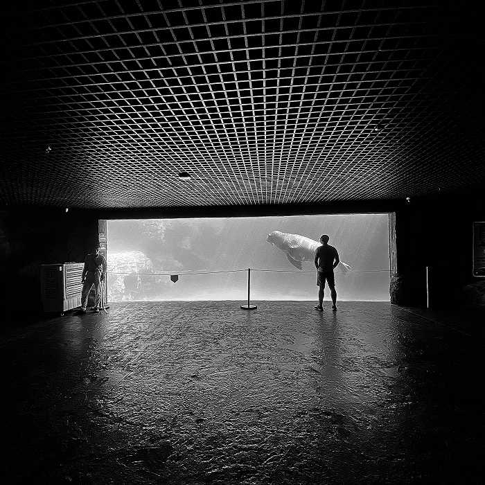 广东珠海长隆海洋世界也是一座主题公园 时代周报 黎广/摄