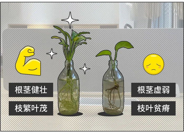 图片来源：自己拍的