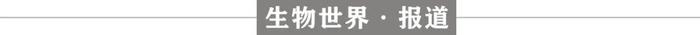 撰文丨王聪