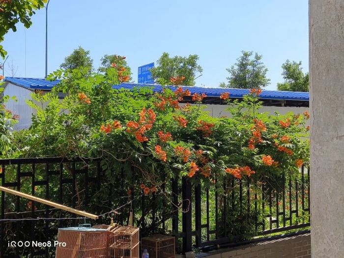 图源：品玩 ByArsT摄