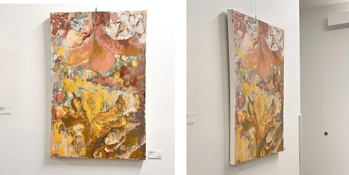 图：吴晓晓参展艺术作品，《shenxing》