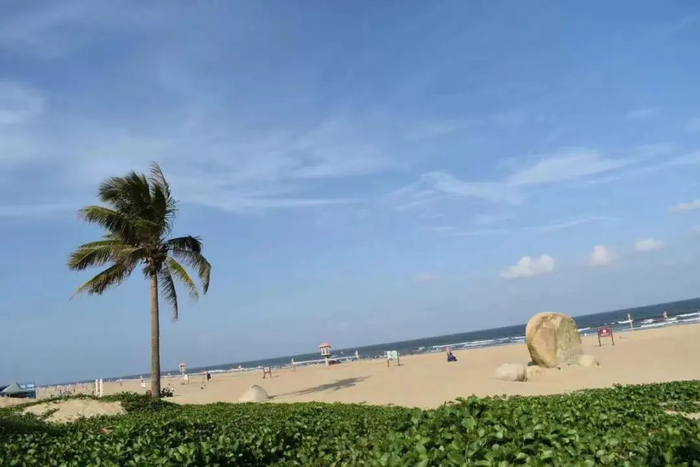 龙海天。图源网络