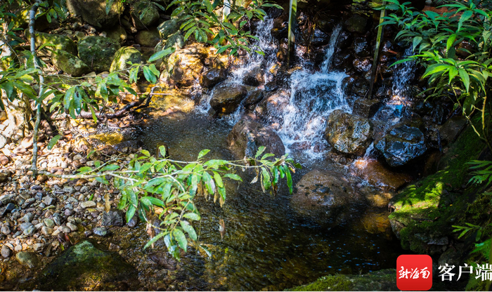 资料图：海南热带雨林国家公园。记者 刘洋 摄