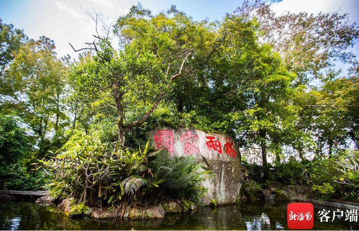 资料图：海南热带雨林国家公园。记者 刘洋 摄