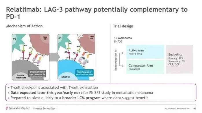 图1. LAG-3与PD-1相互作用机制，来源：BMS官网