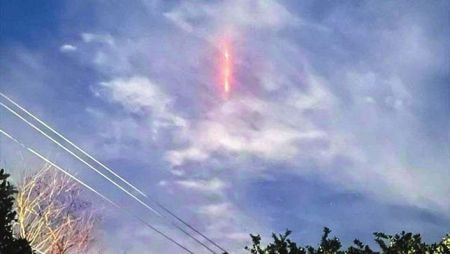 科普博主列举同类现象。受访者供图