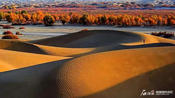 和田达里雅布依风光。阿迪力·那的尔摄