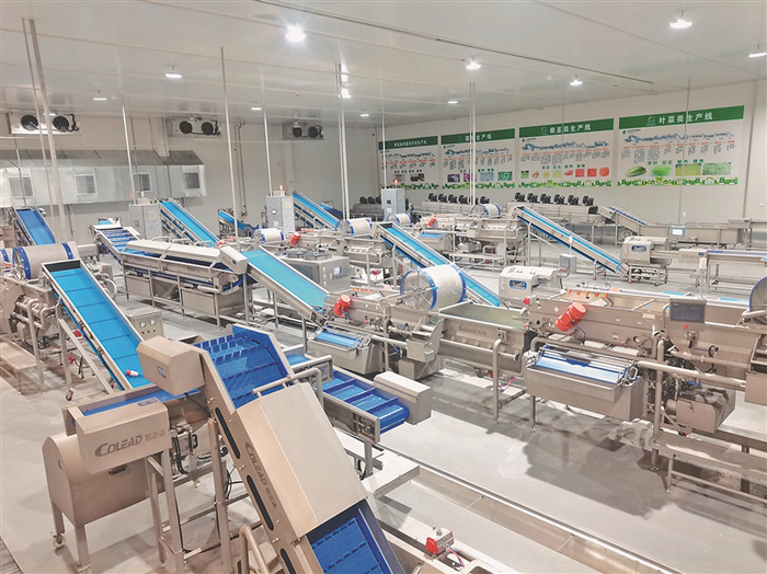 北大荒泰华有机食品股份有限公司标准化加工车间。资料图片