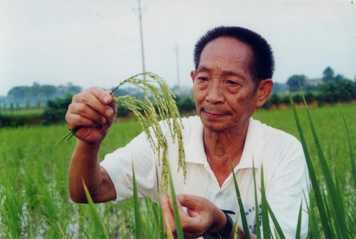 袁隆平介绍照片图片