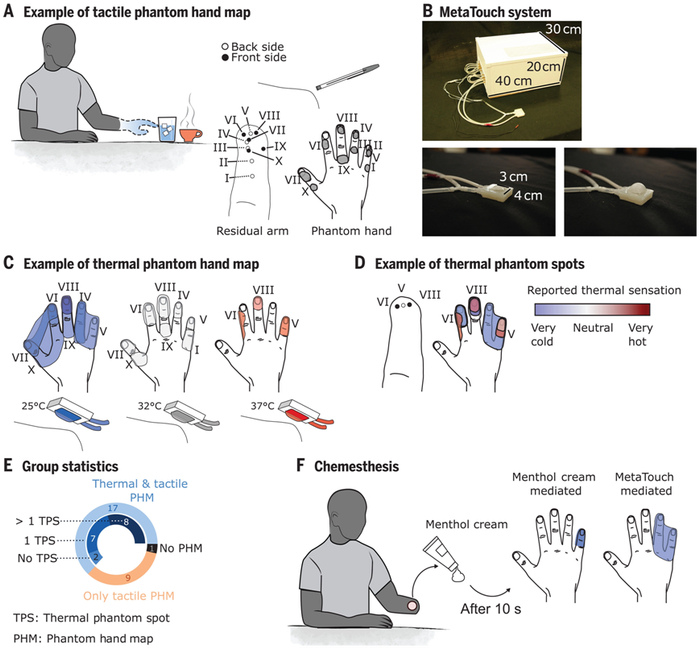 图片来自Science, 2023, doi:10.1126/science.adf6121。