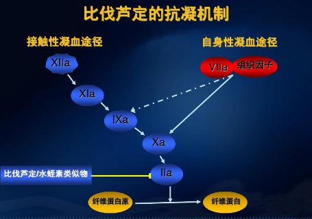 图2：比伐芦定的抗凝机制2