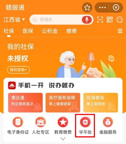 部分地方可通过相关平台自愿购买学平险。