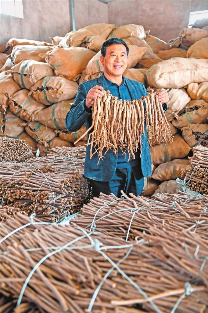 　　杨想才介绍党参收购情况。