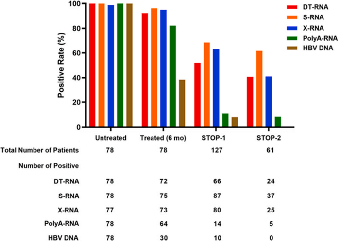 图2：不同检测方法定量血清HBV RNA水平以及ETV和STOP队列中的血清HBV DNA水平