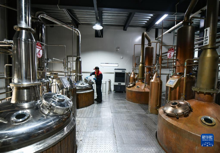 　　6月15日，在四川省阿坝州小金县“金山玫瑰”基地，工人操作玫瑰花精油纯露萃取机。新华社记者 王曦 摄