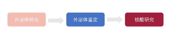 图8 外泌体研究思路