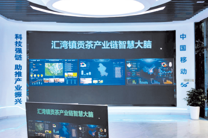 （汇湾智慧茶园智慧大脑大屏展示）