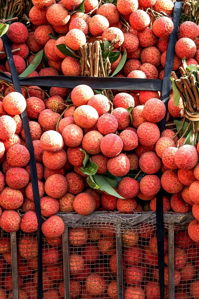 如今广东荔枝也在大量出口到国外。