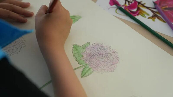 孩子画的自然笔记  徐汇区绿化市容局供图