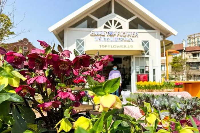 追梦园  图片来源：上海黄浦