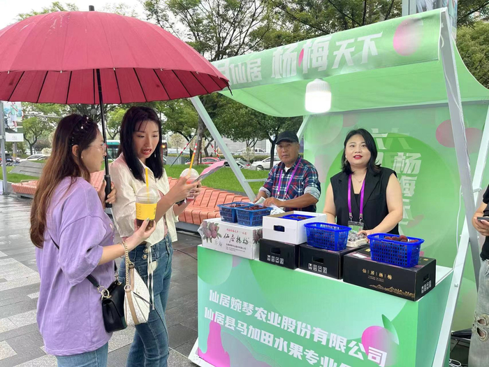 仙居杨梅来沪推介，备受关注。劳动报记者贡俊祺 摄影