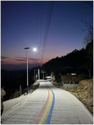 图：夜晚的芙蓉王路