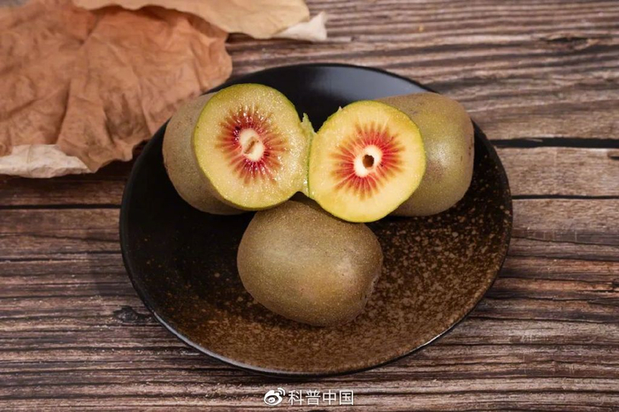 红心猕猴桃，图库版权图片，转载使用可能引发版权纠纷