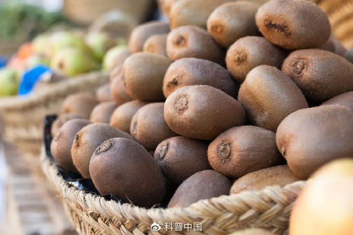 图库版权图片，转载使用可能引发版权纠纷