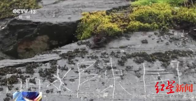 ↑陈某平刻划的“丽水陈国”字样（图据央视报道截图）