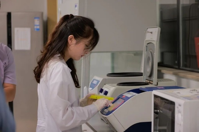 中山大学深圳校区，农学院学生正在做实验。学校供图