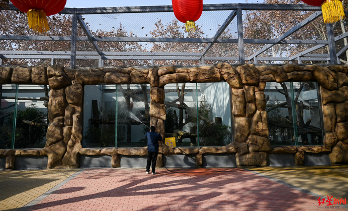 ▲成都动物园升级完成的豹馆 资料图