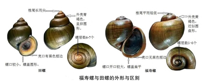 （图片由金武提供）